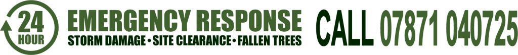 Tree Surgeons Emergency Response Number