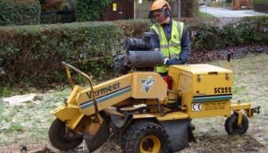 Stump Grinding Service