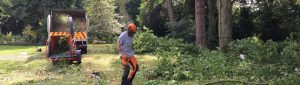 site clearance with wood chipper