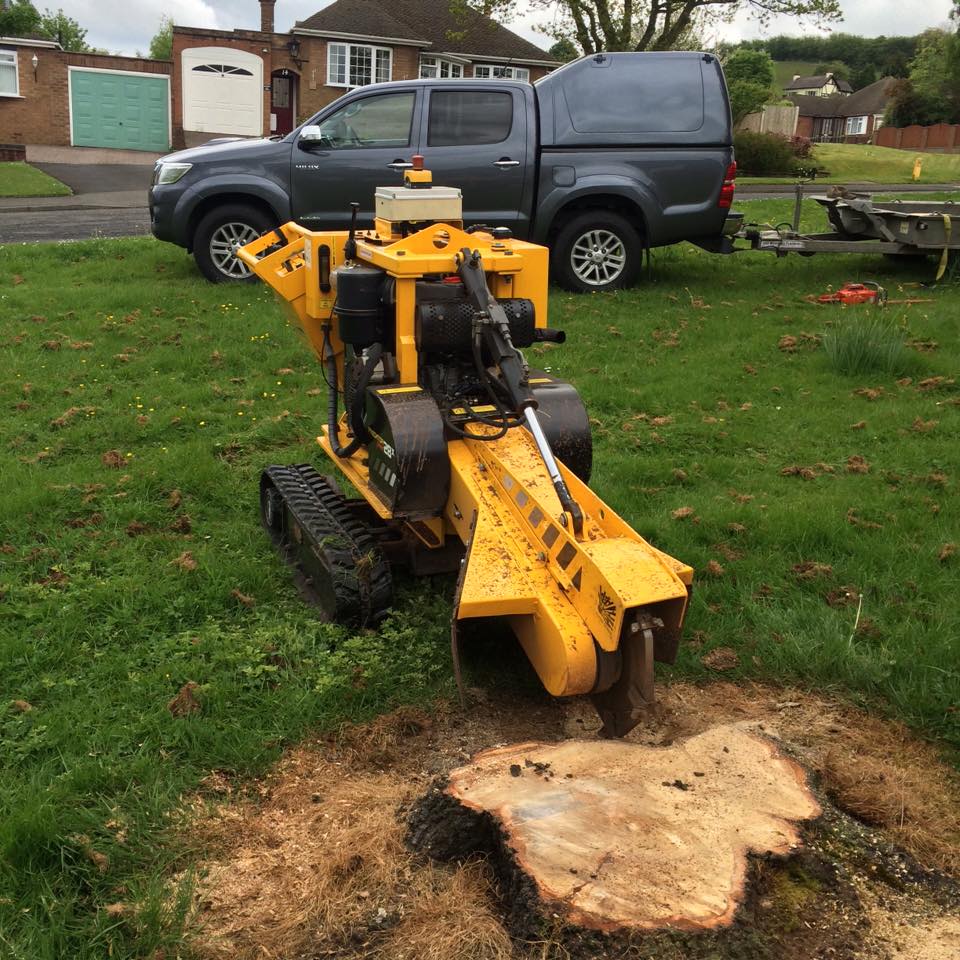 First Part of Grinding a Tree Stump Tree Stump Grinder