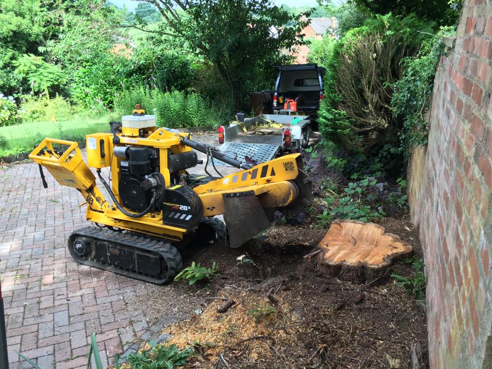 stump grinding machine