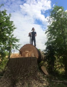 tree surgeon standing on top of tree stump after taken down