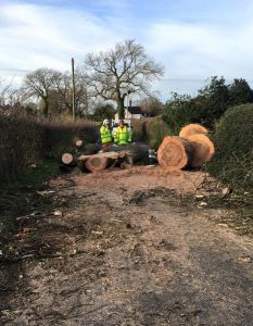 two surgeons on site next to logs and taken down trees