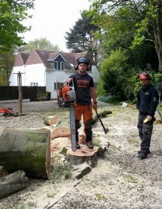 two surgeons after tree removal. one standing on stump