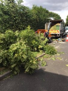 highway maintenance van collecting tree after taken down