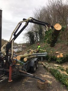 crane collecting tree logs