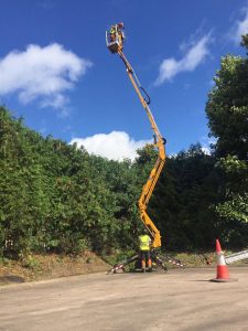 Hedge Maintenance, large yellow crane with surgeon in air