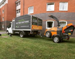 tree doctors van