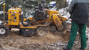 Stump grinding, yellow carlton machine