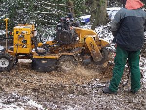 stump grinding process, yellow carlton machine