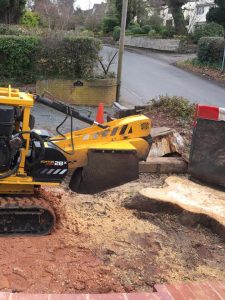 stump grinding on front drive