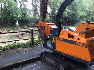 tree felling site clearance