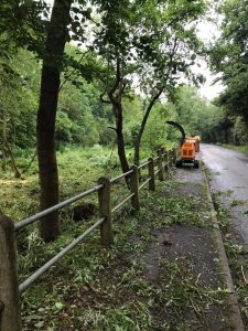 clearing side of the road from vegetation