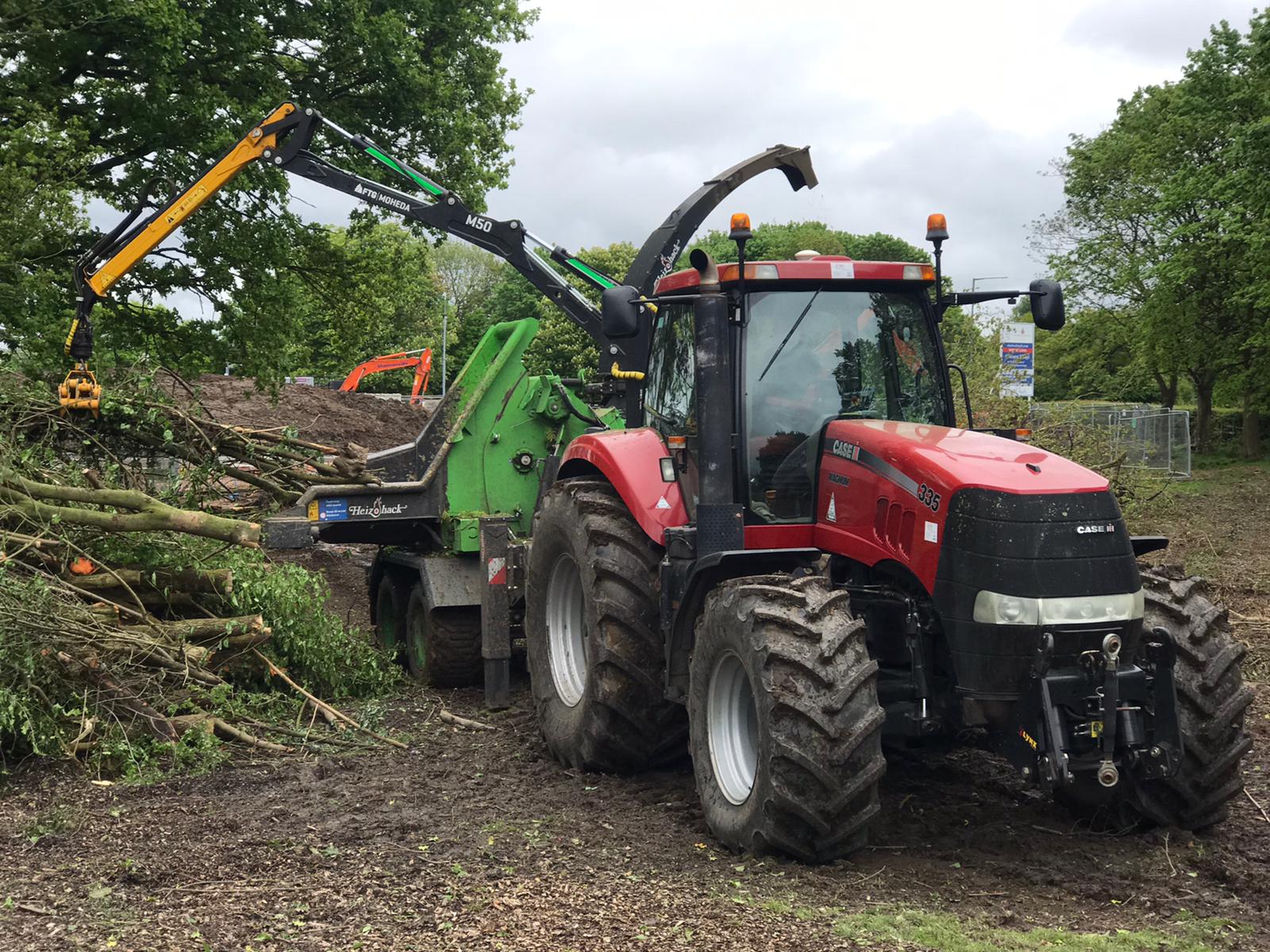 domestic site clearance