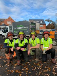 tree surgeons the tree docs