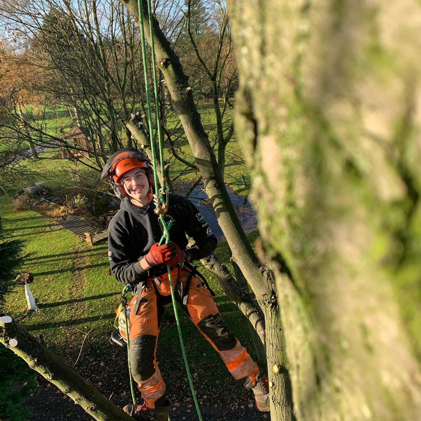 local tree surgeon local tree surgeon strapped into rope and equipment