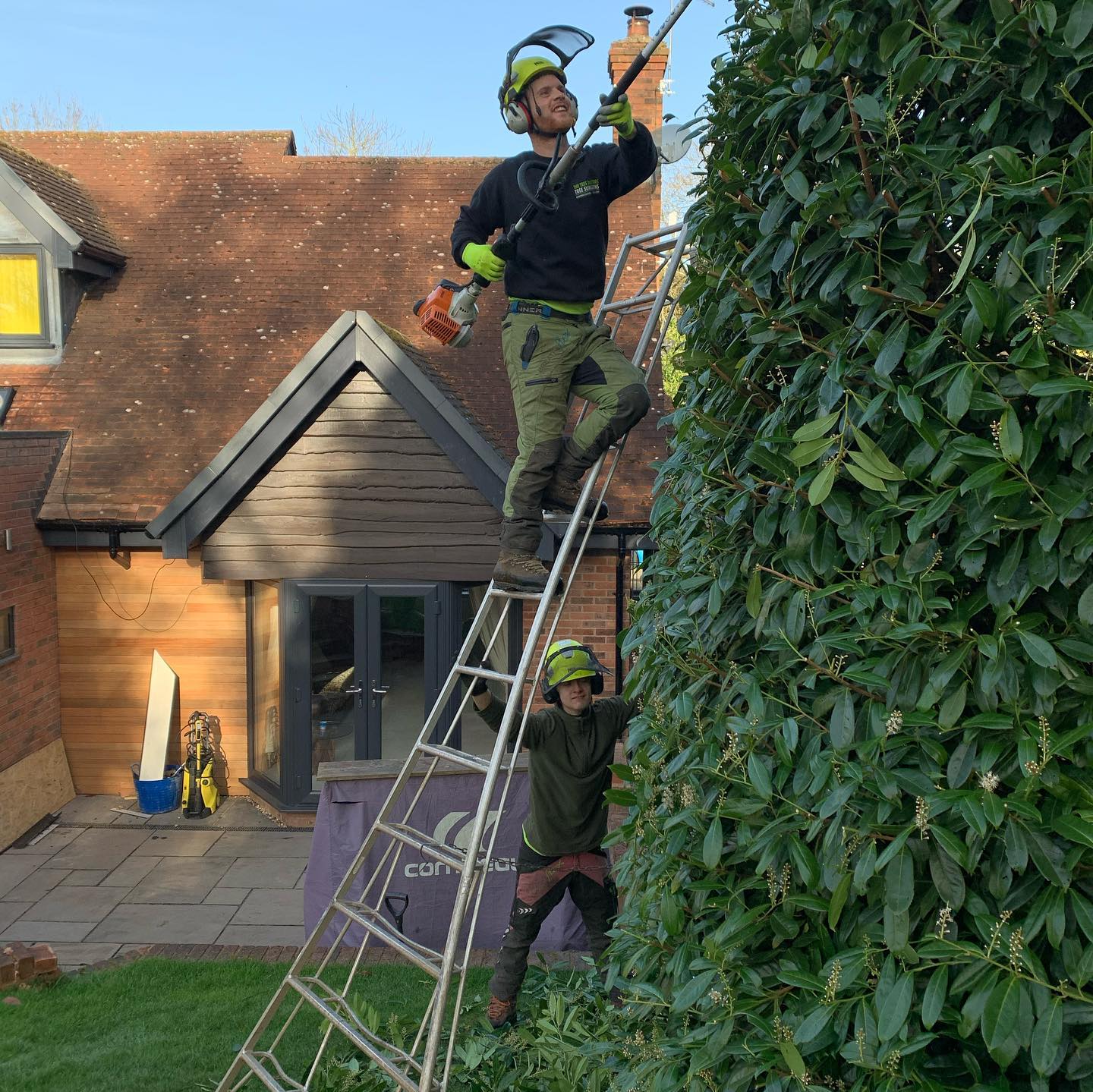 Garden hedge trimming