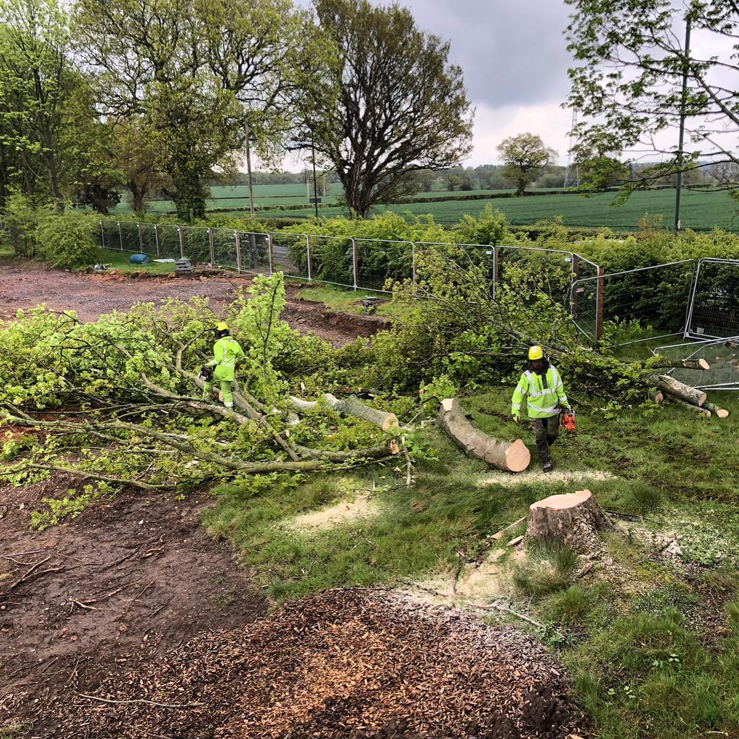 Clearing site of trees and hedges