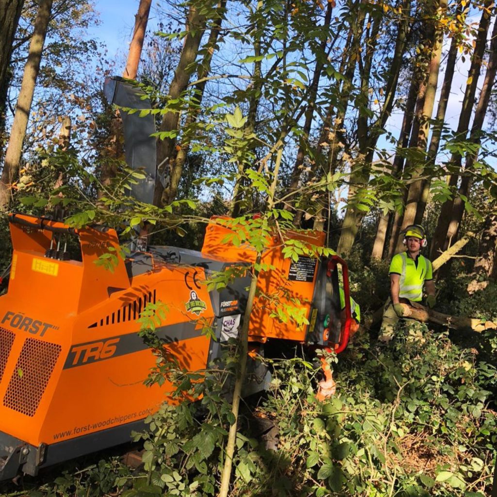 Site clearance for trees