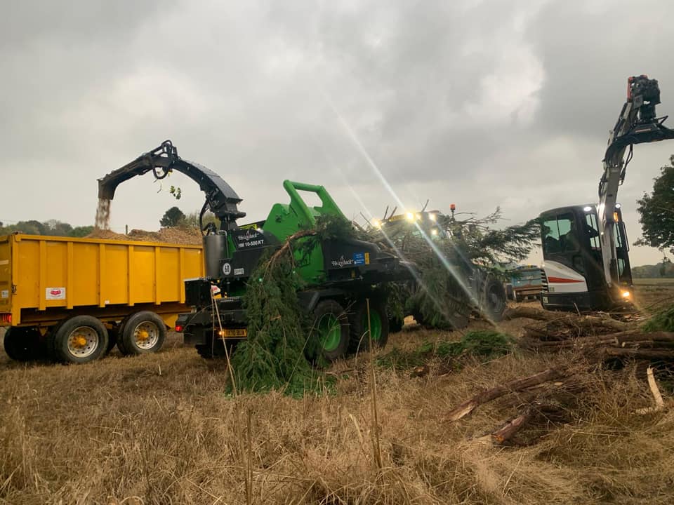 Tree Site clearance machinery