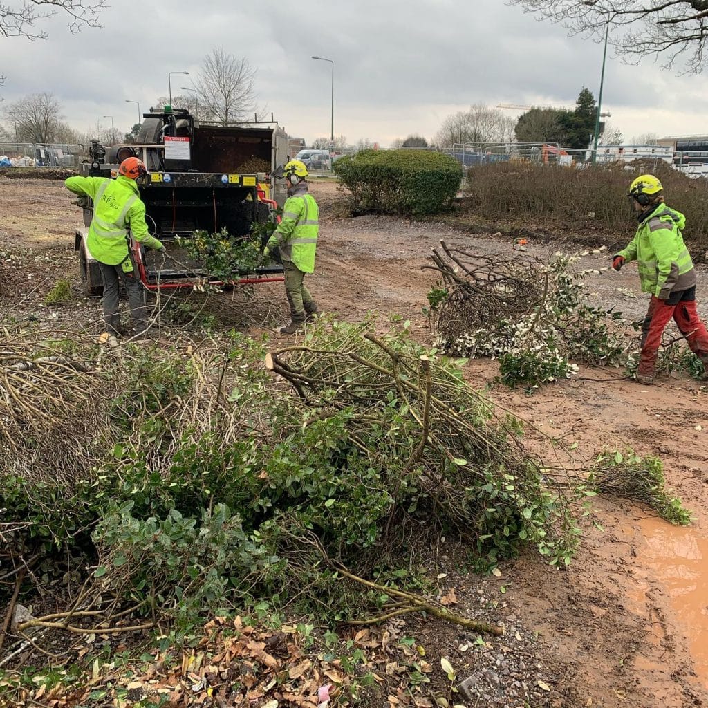 site clearance carried out by Tree Doctors