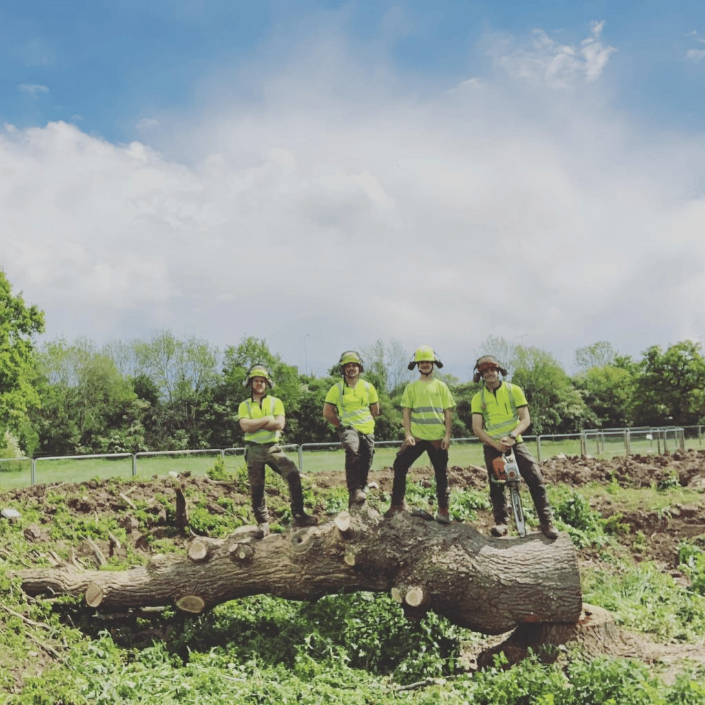 Expert Team at The Tree Doctors based in Halesowen 