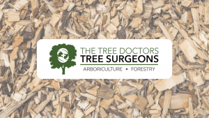Biomass woodchips and thier importance in the world - The Tree Doctors