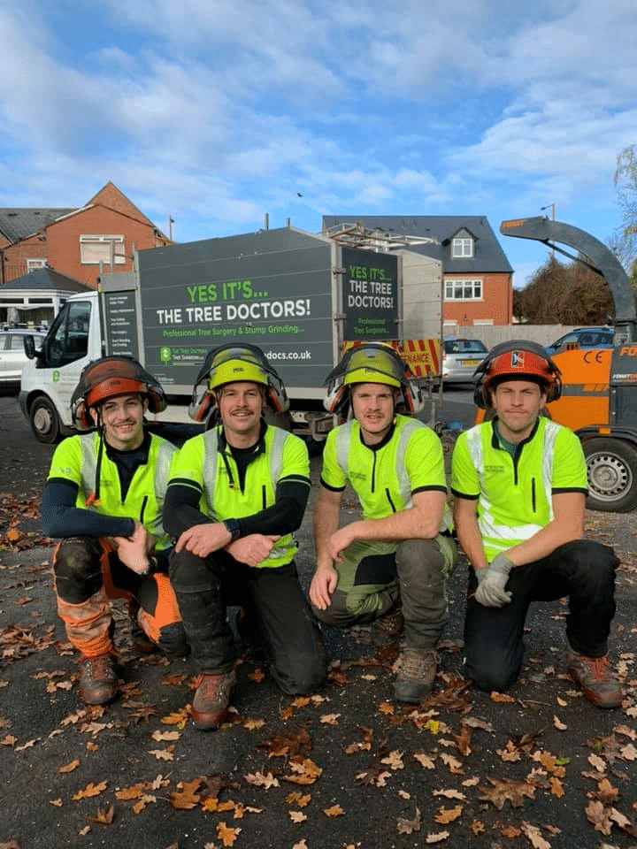 The Tree Doctors Team - covering Longbridge and beyond