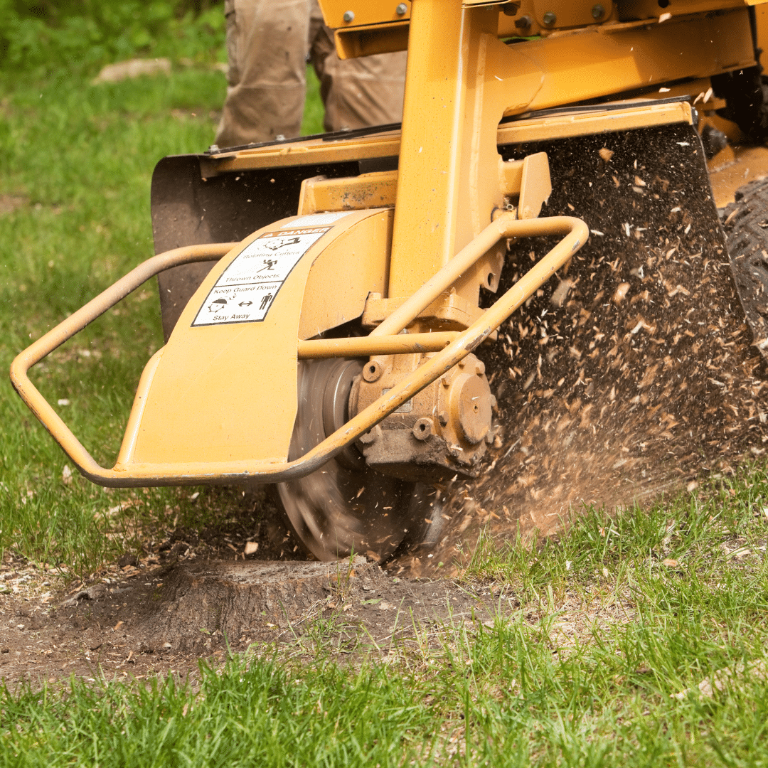 stump grinding services with the tree doctors