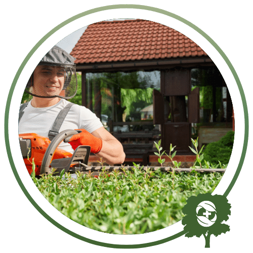 Hedge Maintenance Button