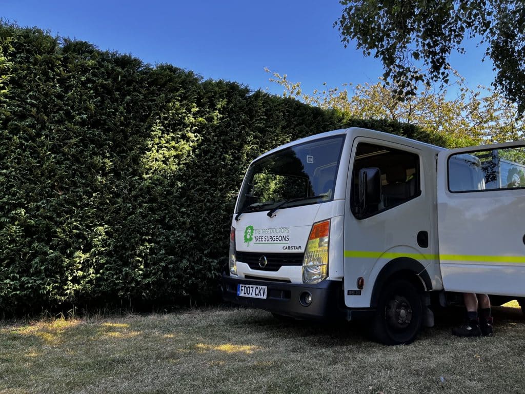neat hedge trimming services by The Tree Doctors