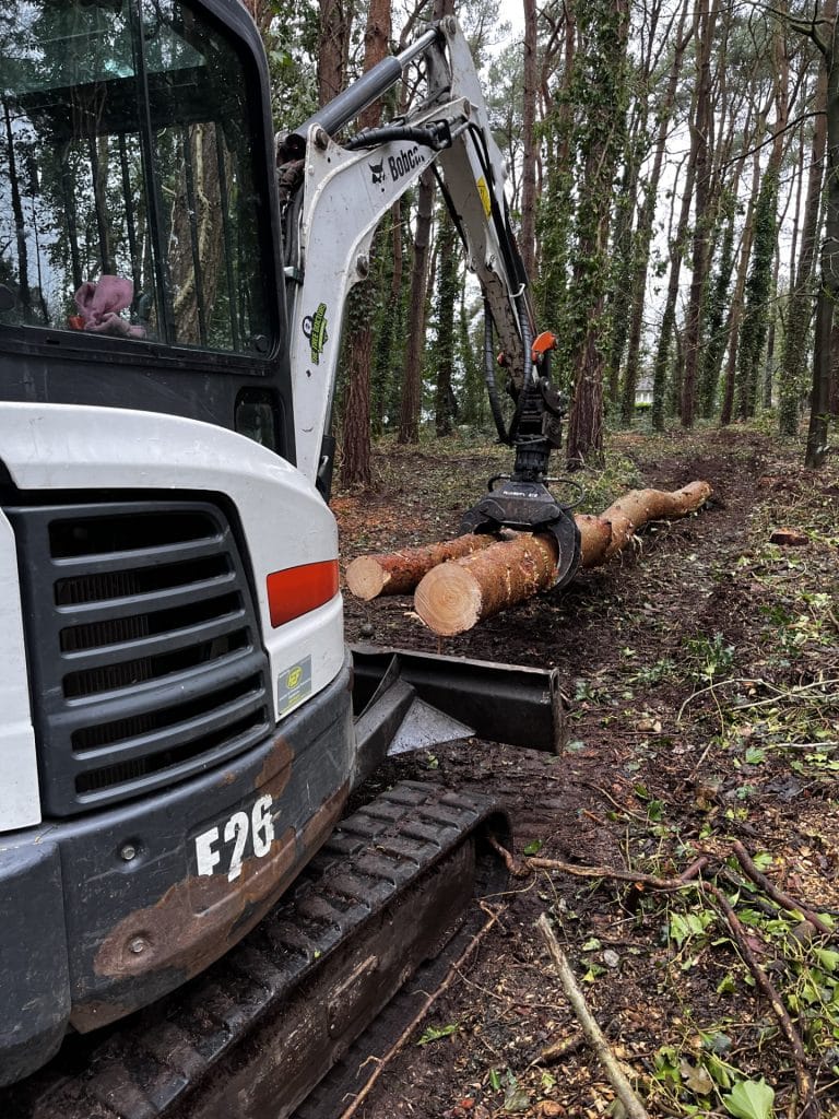 Tree removal for logs
