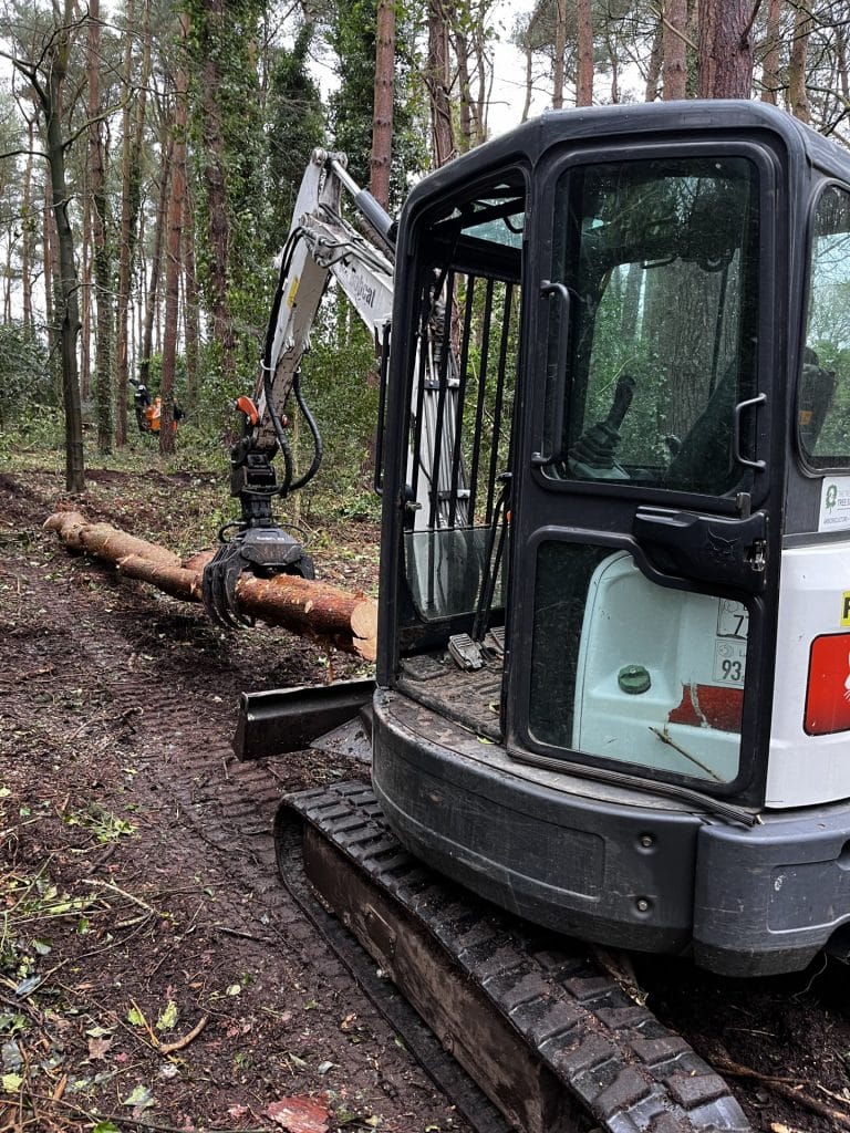 Tree removal with excavator for emergency removal