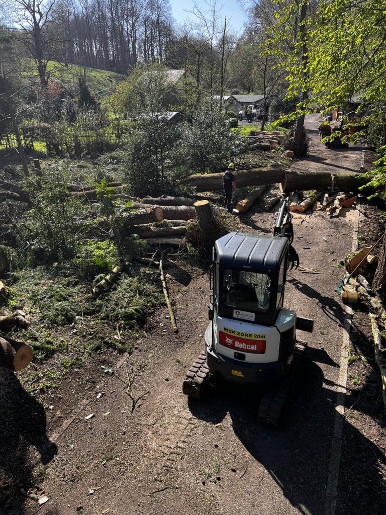 The Tree Doctors trimming felled tree trunks and clearing
