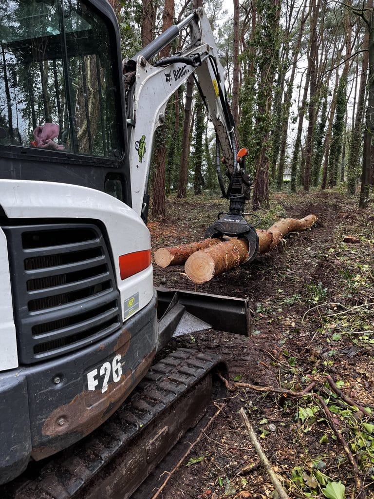 excavator pulling logs for removal