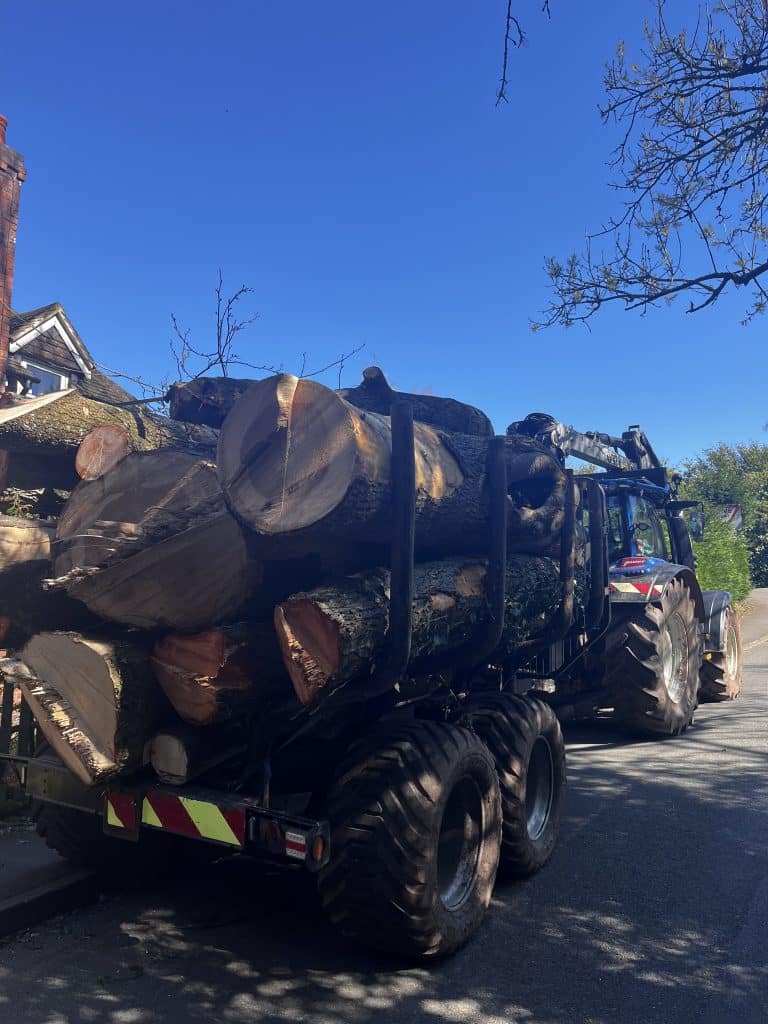 logs being transported on by tractor