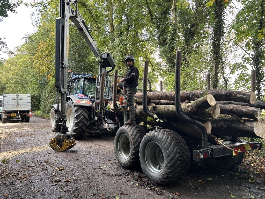 tree surgeon helping load logs onto trailer