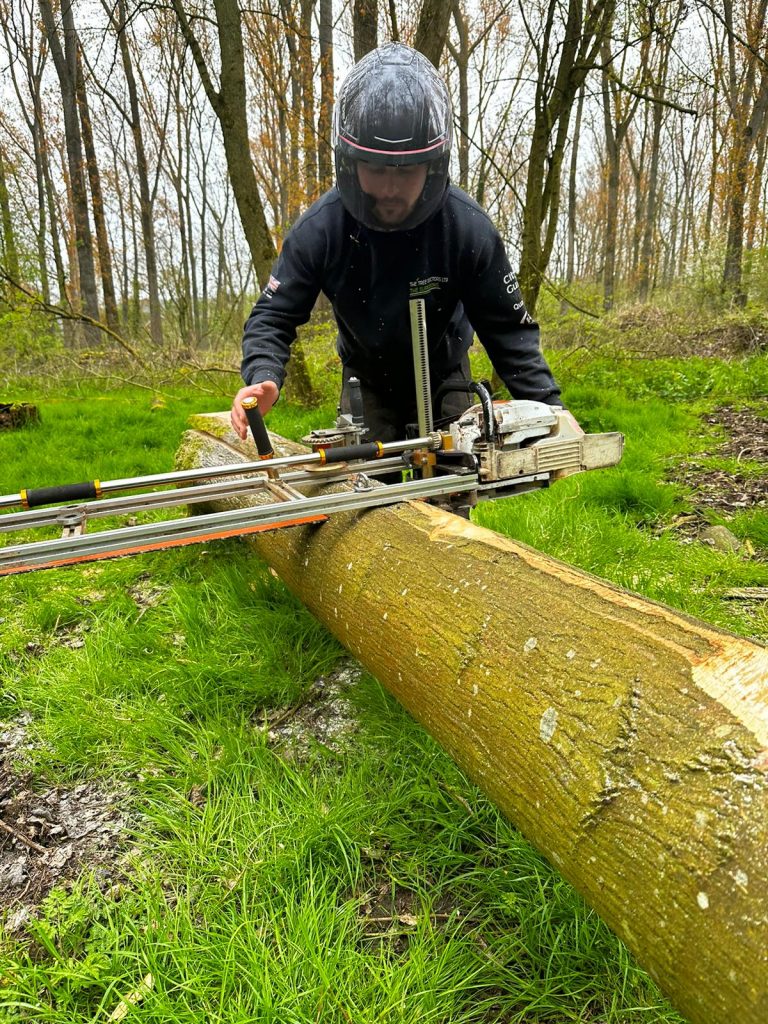 tree measurements for log splitting after branch felling