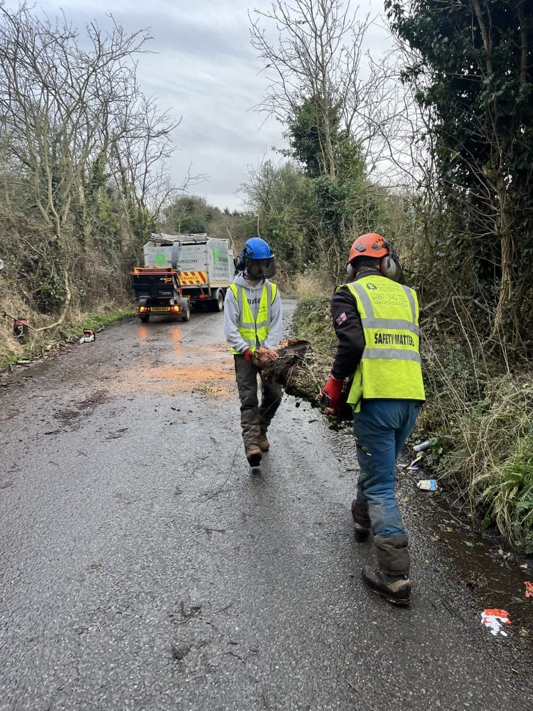 tree clearance services