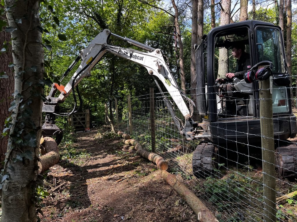 chas accredited tree surgeons operating equipment