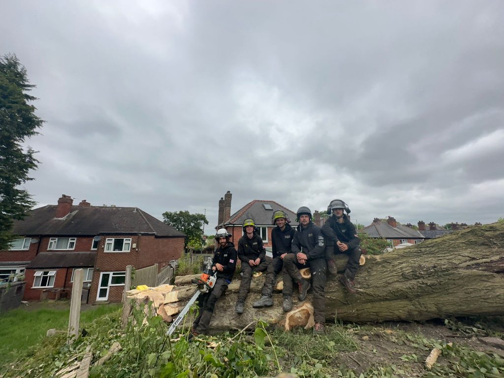the tree doctors team on felled tree