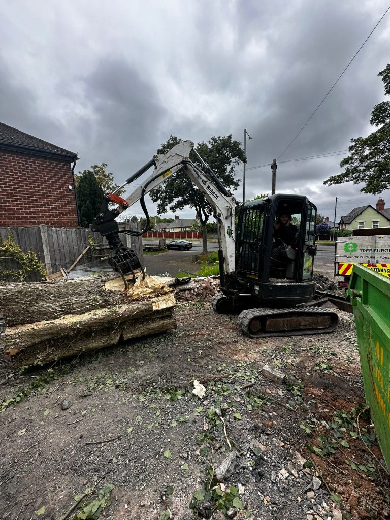 excavator picking up tree trunk