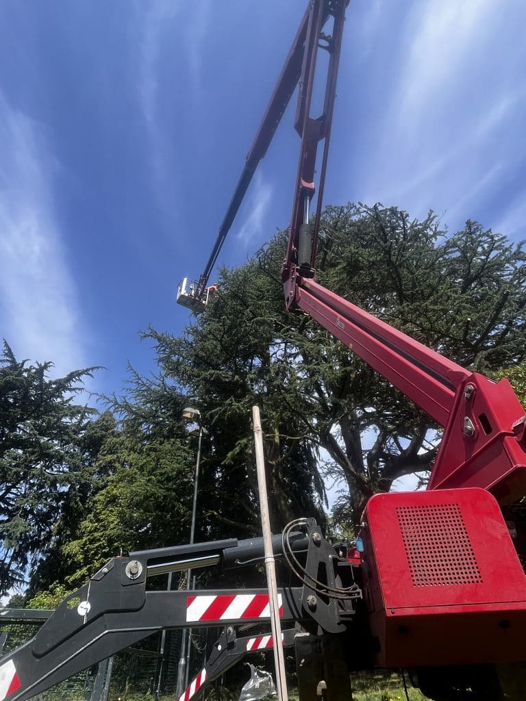 crane used by The Tree Doctors