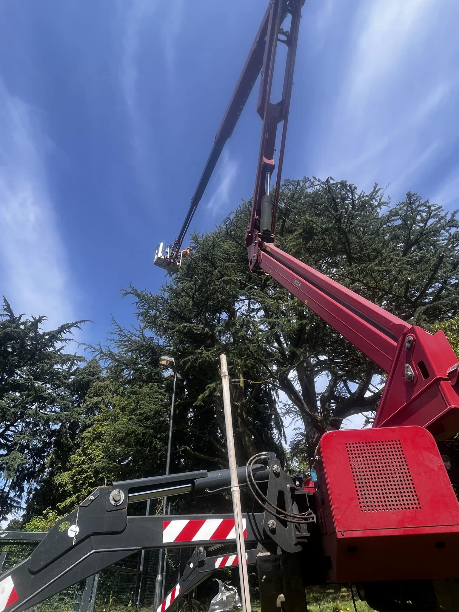 crane for tree cutting