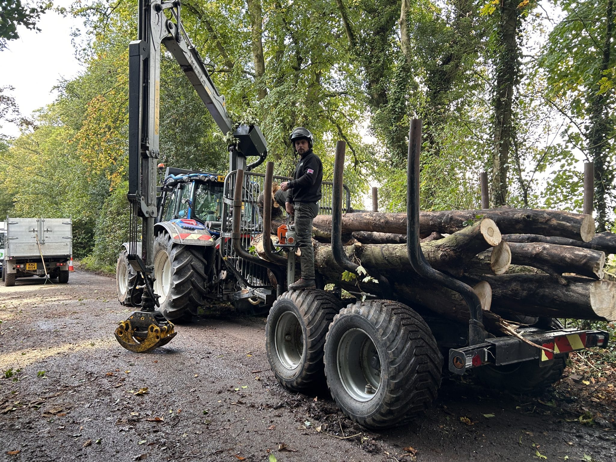 tree reductions and removals on country road