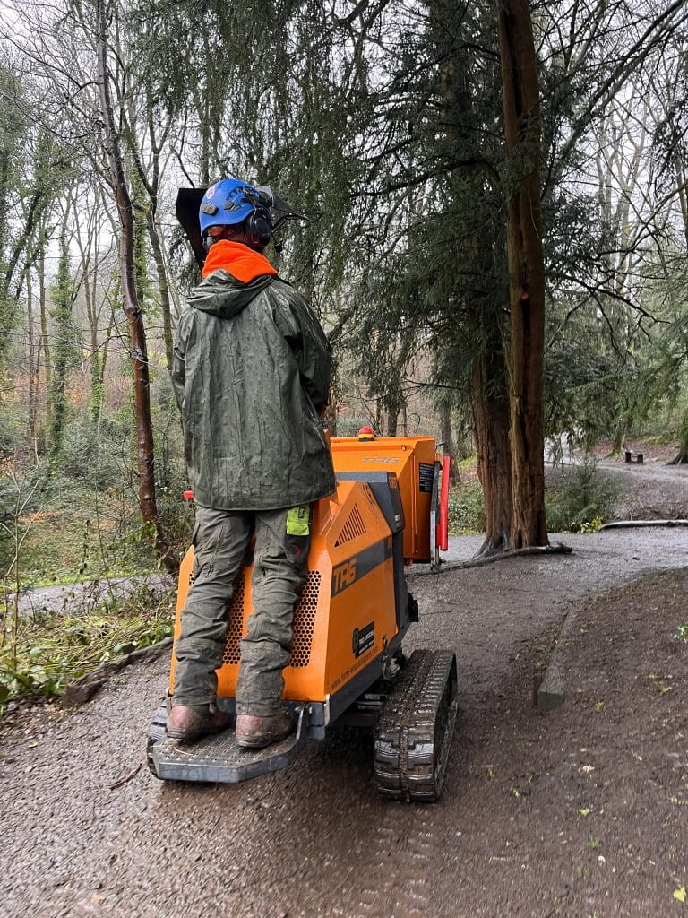 tree surgeon on stump grinder