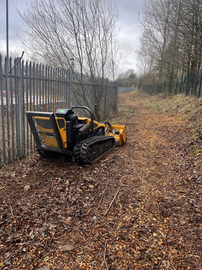 tree surgeon equipment