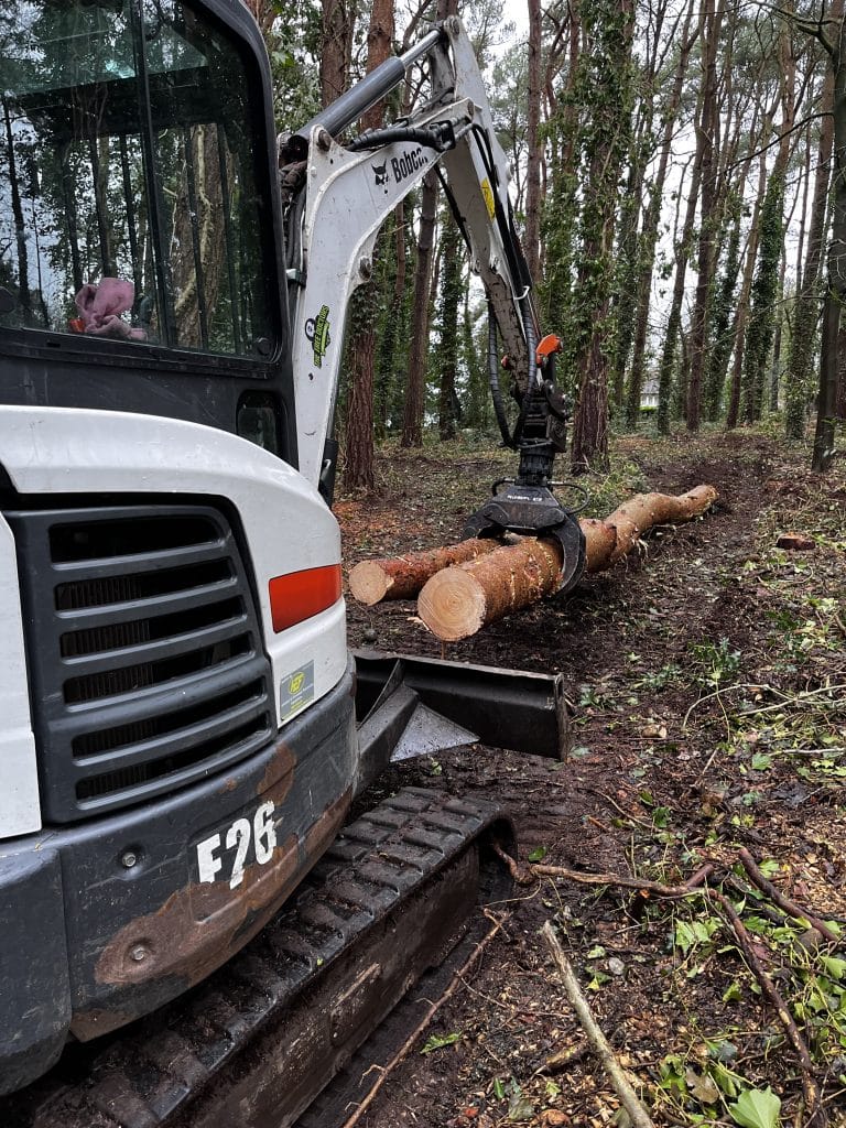 removing woodland tree trunks
