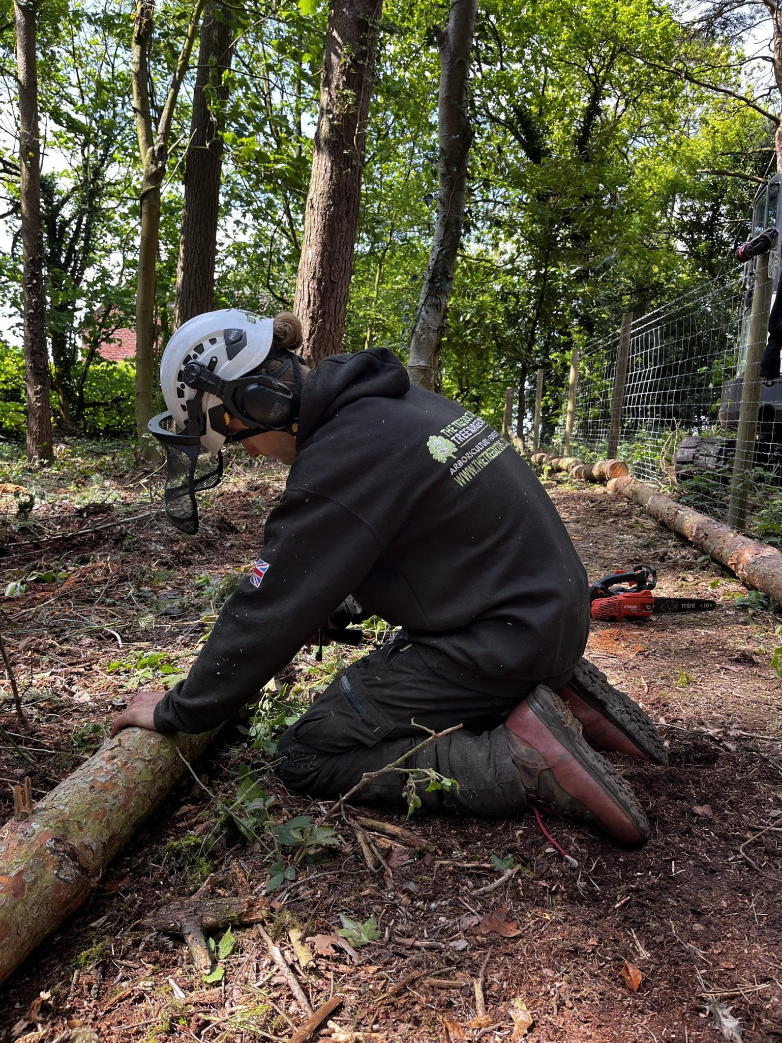 tree surgeon performing woodland management tree surgeon performing woodland management