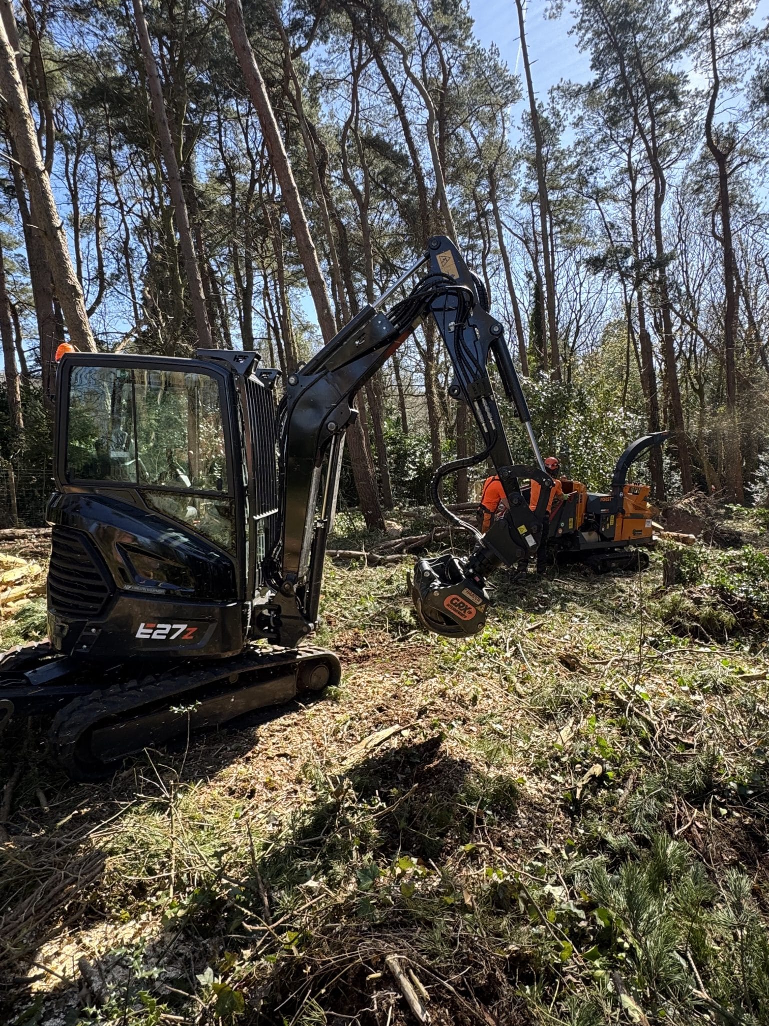 woodland management commercial tree surgery woodland management commercial tree surgery